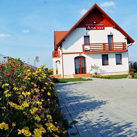 Pensiunea Ana Odoreu Exteriér fotografie