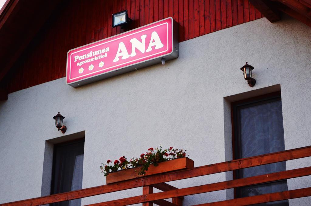 Pensiunea Ana Odoreu Exteriér fotografie
